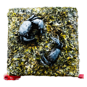 Relief paintings, paintings, mix medias